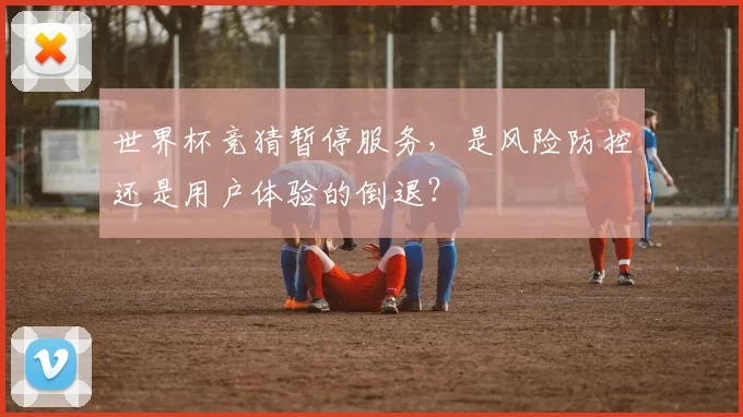 世界杯竞猜暂停服务，是风险防控还是用户体验的倒退？