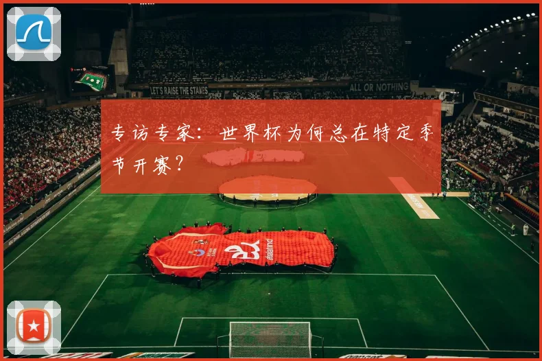 专访专家：世界杯为何总在特定季节开赛？
