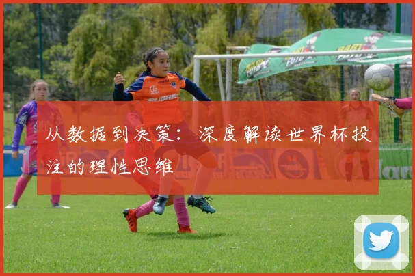 从数据到决策:深度解读世界杯投注的理性思维