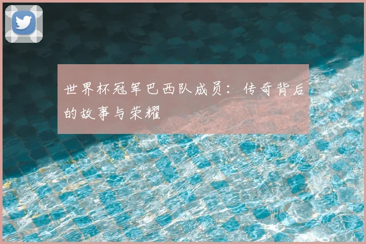 世界杯冠军巴西队成员：传奇背后的故事与荣耀