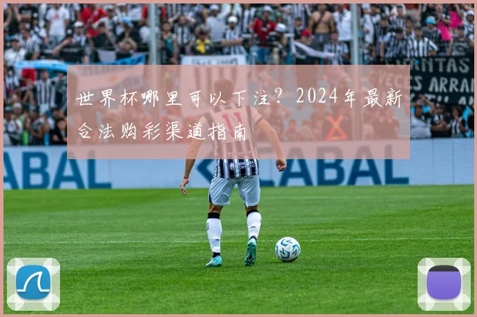 世界杯哪里可以下注?2024年最新合法购彩渠道指南