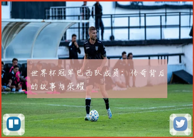 世界杯冠军巴西队成员：传奇背后的故事与荣耀