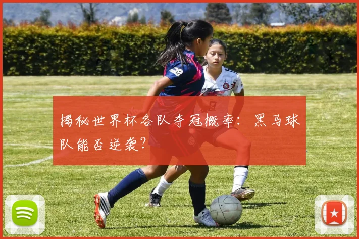 揭秘世界杯各队夺冠概率:黑马球队能否逆袭?